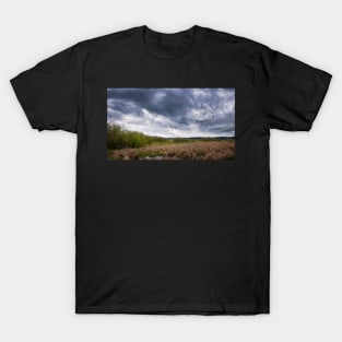 Geese Flying Off Under Stormy Skies T-Shirt